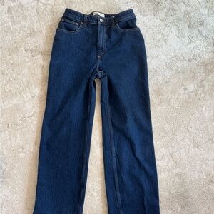 Abercrombie & Fitch Curve Love High Rise 90s Relaxed Jean 28S